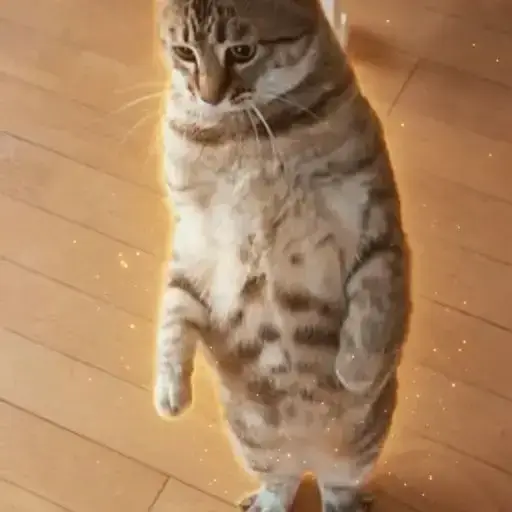 Kichi