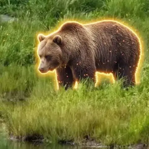 Bearnard