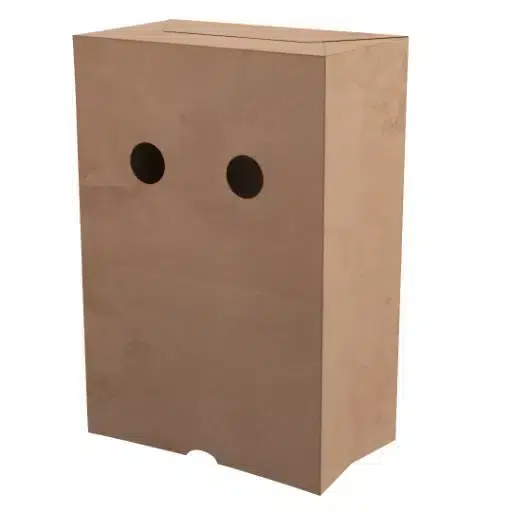 BAG