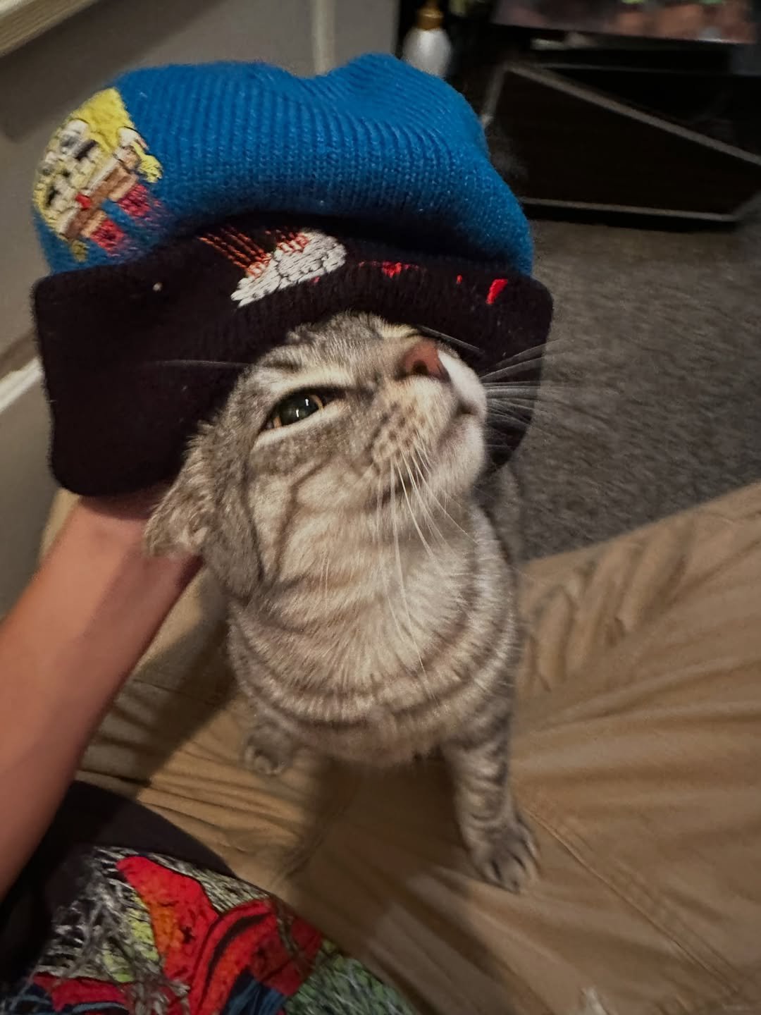 Beanie
