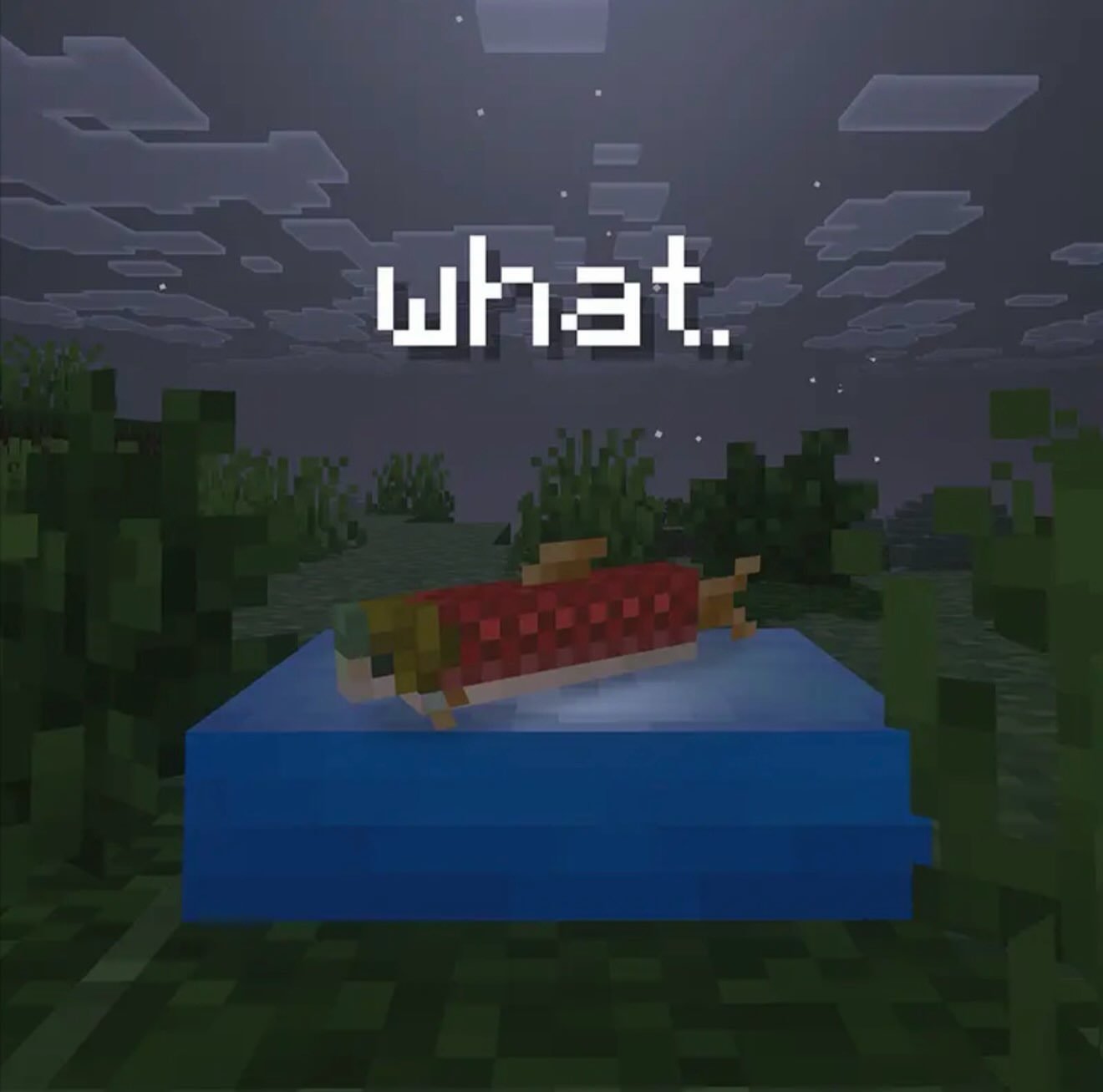 WHAT