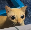 LUCKLAY