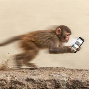 APE