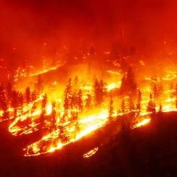 WILDFIRE