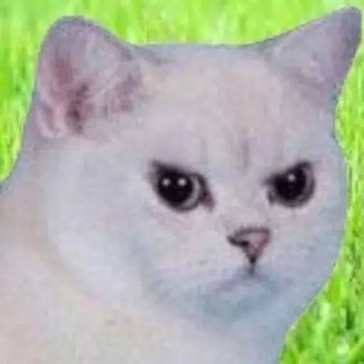 AngryCat