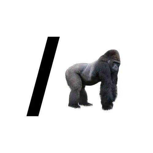 /ape