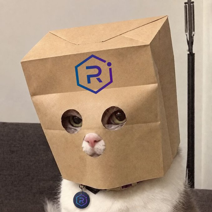 Raydium Cat