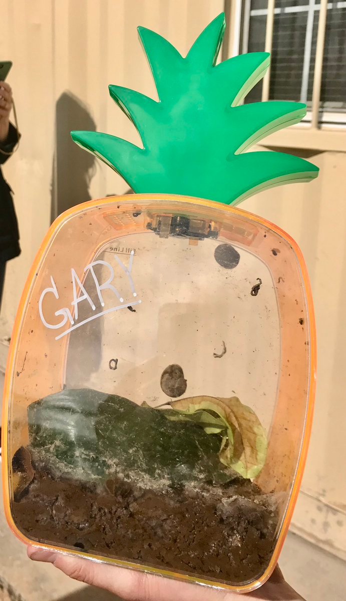 gary — gary the snail Solana token traded by KOLs