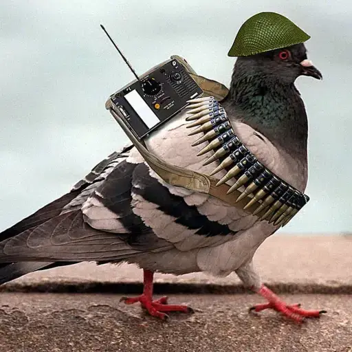 pigeon