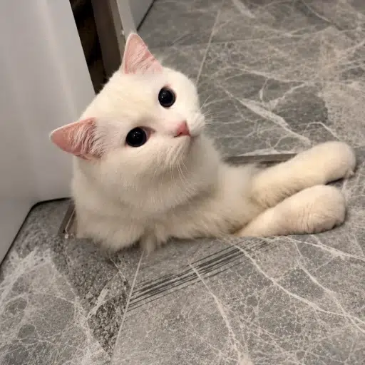 Fluffy
