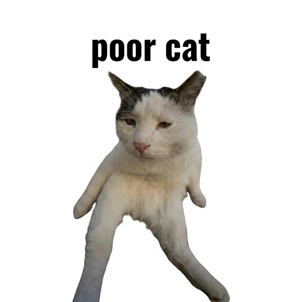 POORCAT