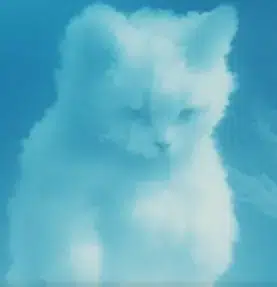 AIRMICHI