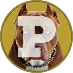 Pitbull