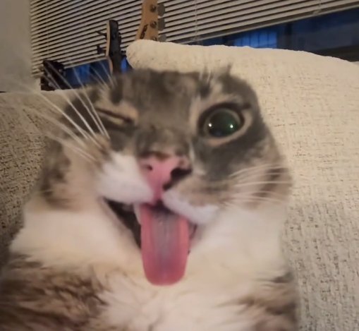 rigby