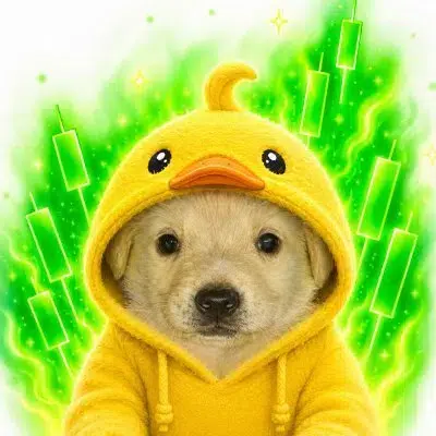 DAUMEN — Daumen the Duck Solana token traded by KOLs