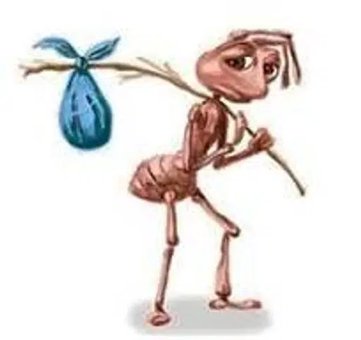 ANT