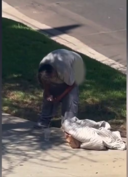 Pooper