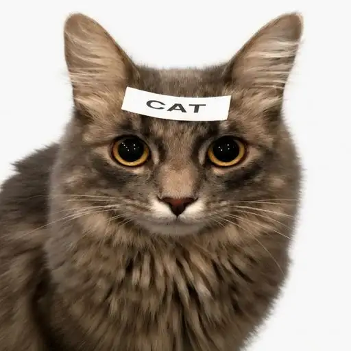 commentcat