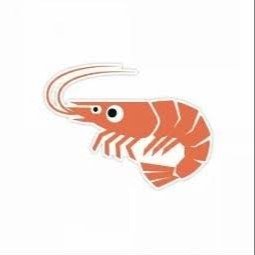 shrimp
