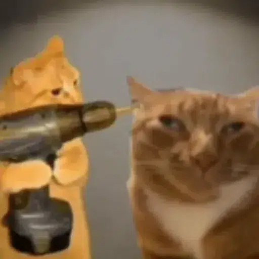 drillcat