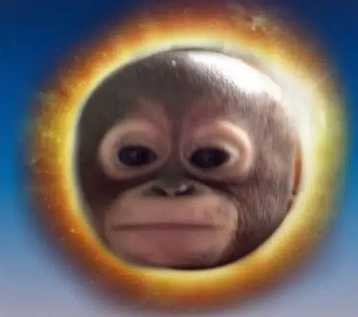 budi