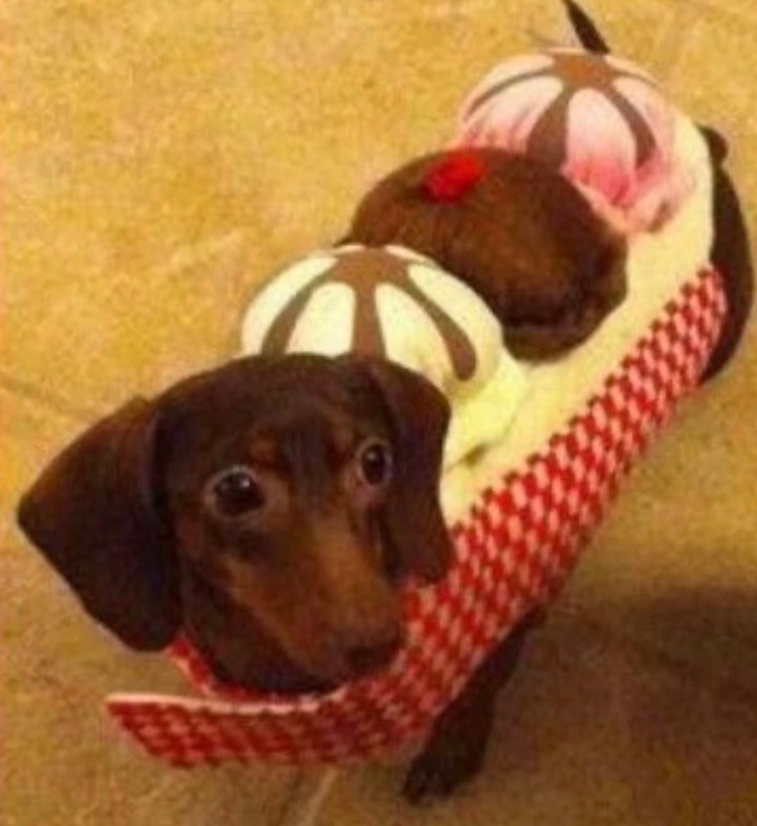 ICECREAM