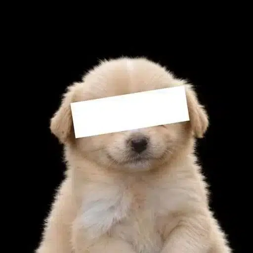 ████