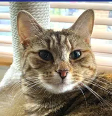 Ethel