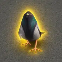 PIGEON