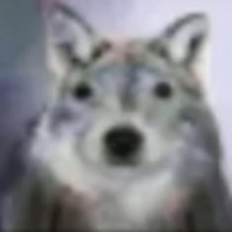 144p