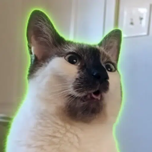 Louie