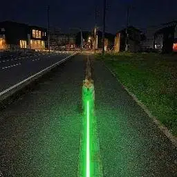 MARKETDOGE
