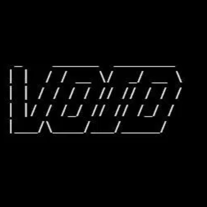 VOID logo
