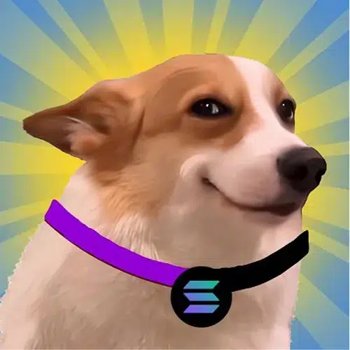 DOG.SOL
