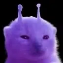 PLORP