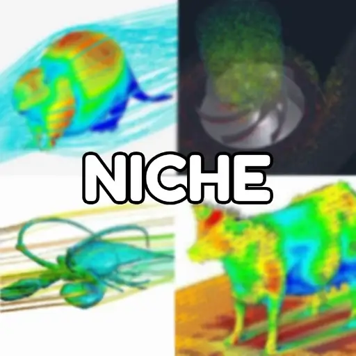 niche — recently traded by Decu on Solana