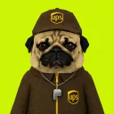 UPS