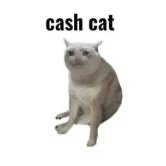 CASHCAT