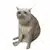 CASHCAT