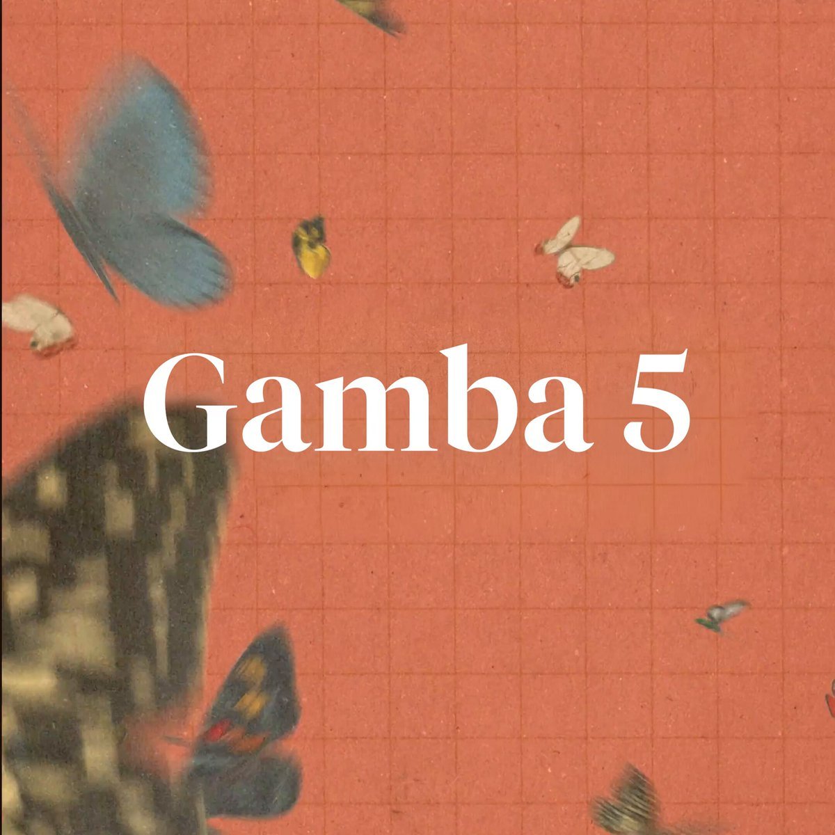 GAMBA