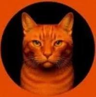 BILLI