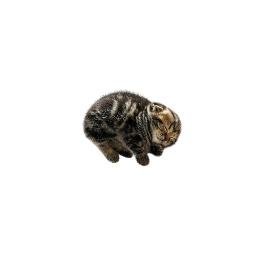 smol
