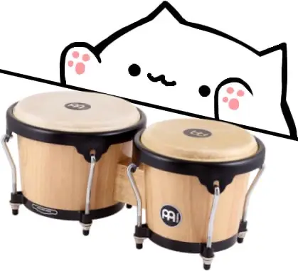 BONGOCAT