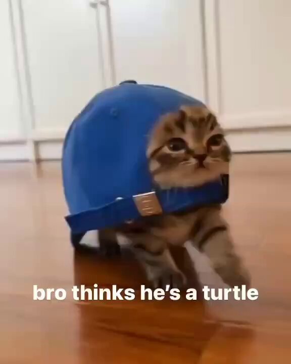 cap