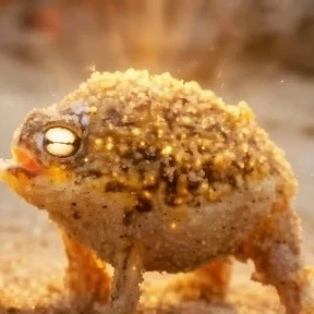 Fwog