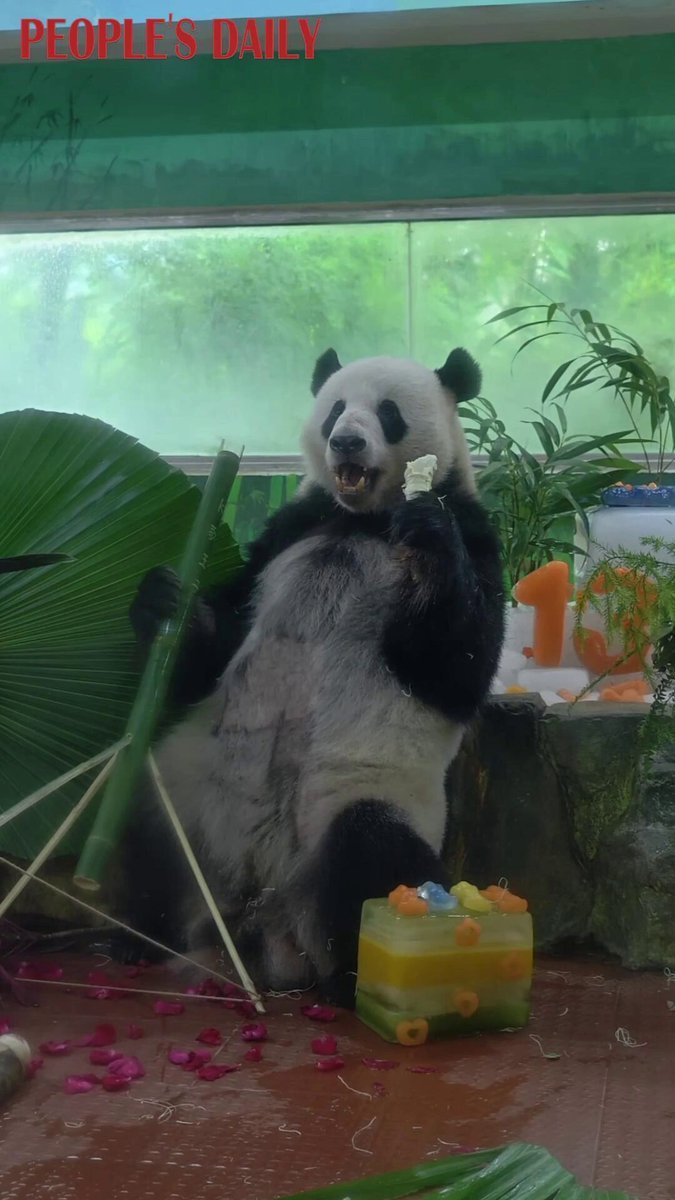 XINGYI