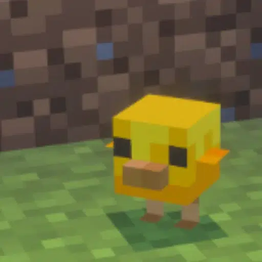 CHICK