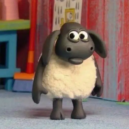 Shaun