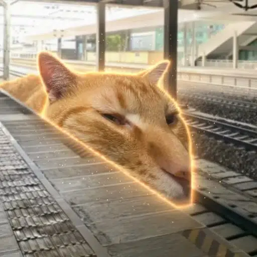 traincat