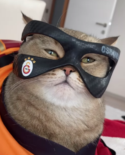 Pisimhen